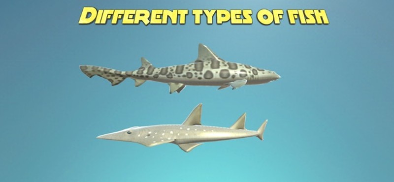 Real Shark Simulator screenshot