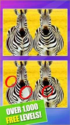 Spot the Differences! find hidden objects game screenshot