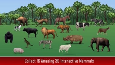 Animal Kingdom Science For Kids Image