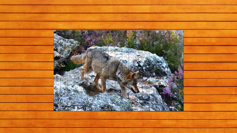Bear vs. Wolf Jigsaw Puzzle screenshot