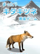 Cute Fox Healing Life Image