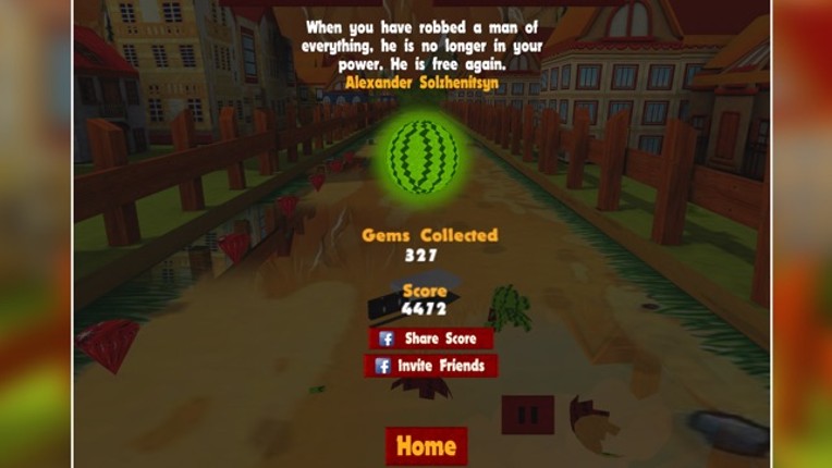 Fate Of Freedom - Melon Run : A Running Game About Freedom screenshot