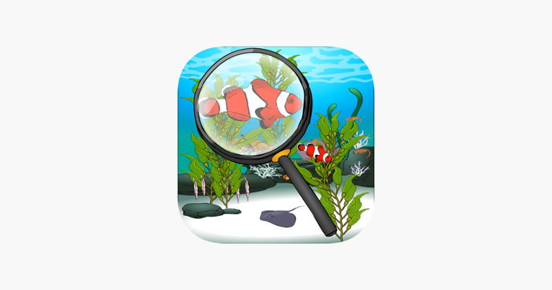 Find The Hidden Fish Image