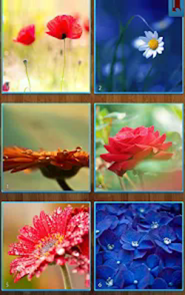 Flower Jigsaw Puzzles screenshot