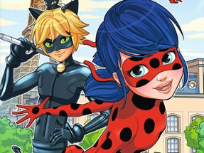 Ladybug Differences Image