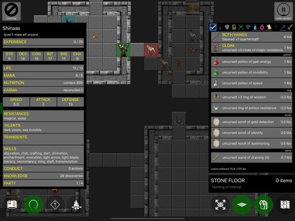 Pathos: Nethack Codex Image