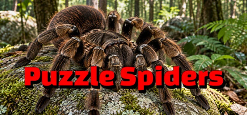 Puzzle Spiders Image
