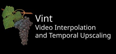 Vint: Video Temporal Upscaling and Interpolation Image