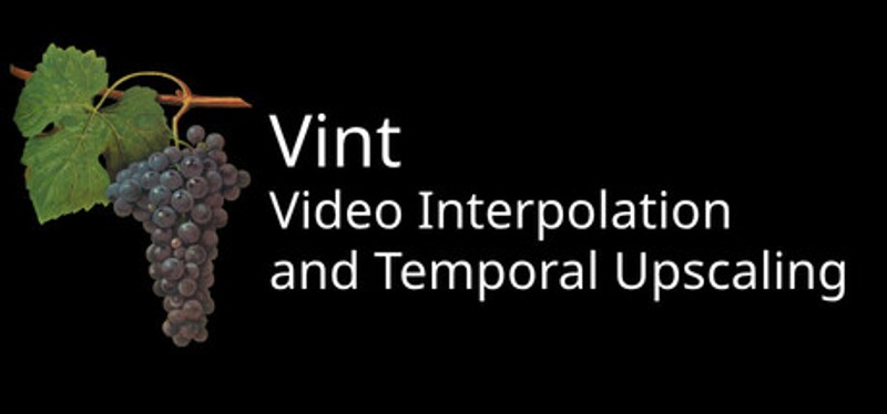 Vint: Video Temporal Upscaling and Interpolation Game Cover