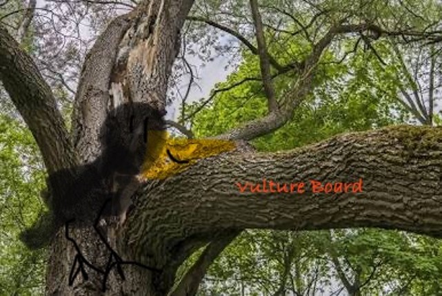 Vulture Board Image