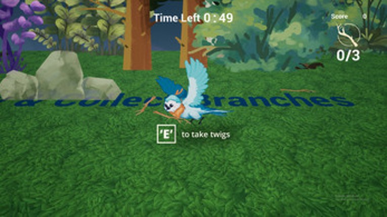 Tori's Nest Image