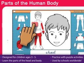 Human Body -Montessori Anatomy Image