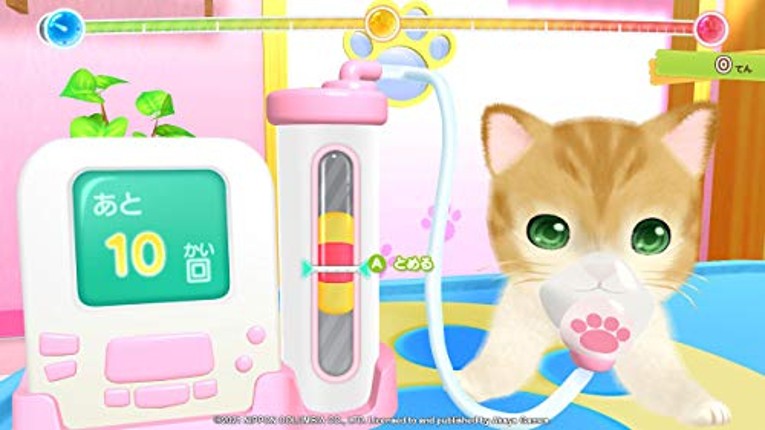 Pups & Purrs Animal Hospital screenshot