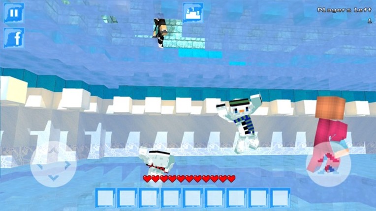 Thin Ice Run Arena Image