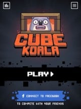 Cube Koala Image