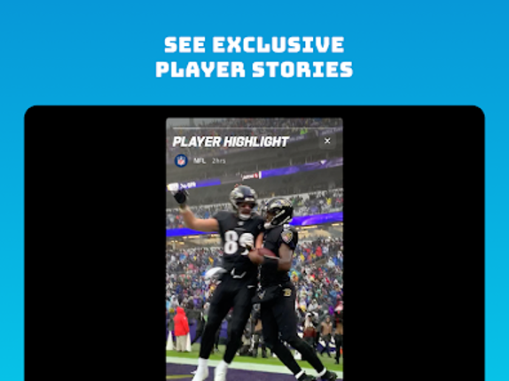 NFL Fantasy Football Image