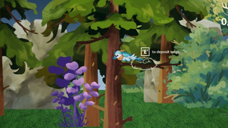 Tori's Nest Image