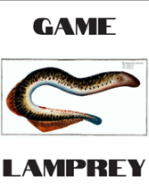 Game Lamprey Image