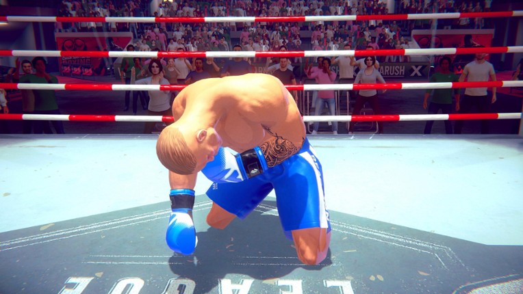 Casual Sport Series: Boxing screenshot