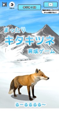 Cute Fox Healing Life screenshot