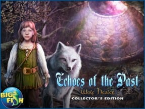 Echoes of the Past: Wolf Healer HD Image