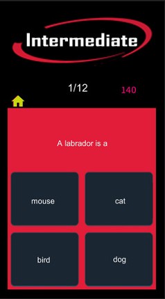 Lucid Academy – Trivia Image