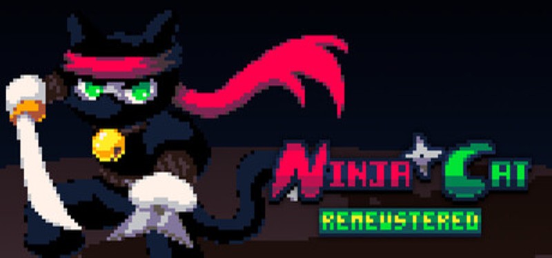 Ninja Cat Remewstered Image