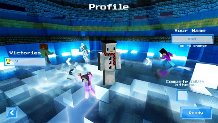 Thin Ice Run Arena Image