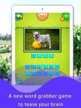 Word Puzzle Pic Image