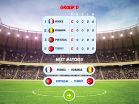 EURO SOCCER TOURNAMENT 3D Image