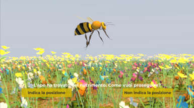 Bee - Interactive film Image