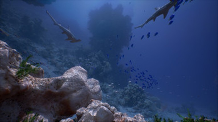 Simple-realistic Underwater VR Image