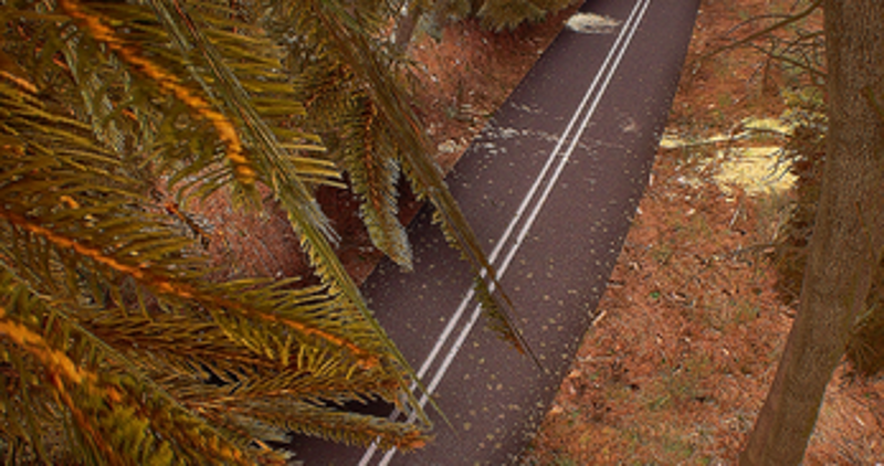 In This Town: The Beginning screenshot