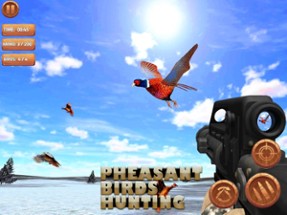 Pheasant Bird Hunting 18 Image