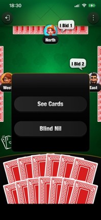 Spades Star - Offline screenshot