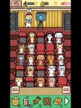 Animal Cinema Image