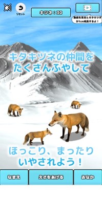 Cute Fox Healing Life Image