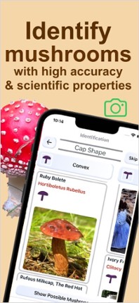 Forest Mushroom Identification screenshot