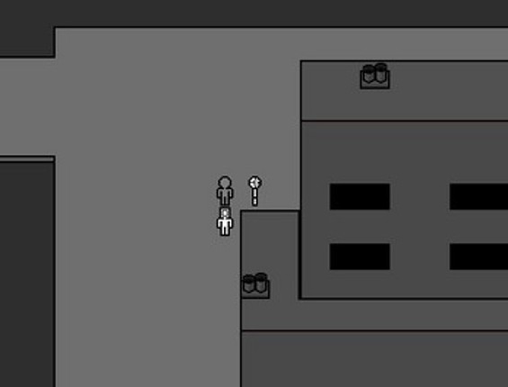 Black and White Game screenshot