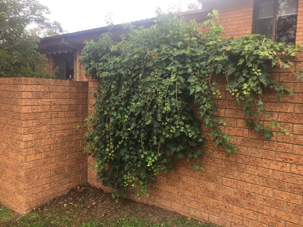 Games like City of Small Magics