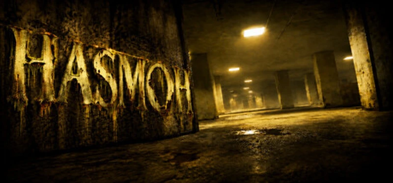 HASMOH Image