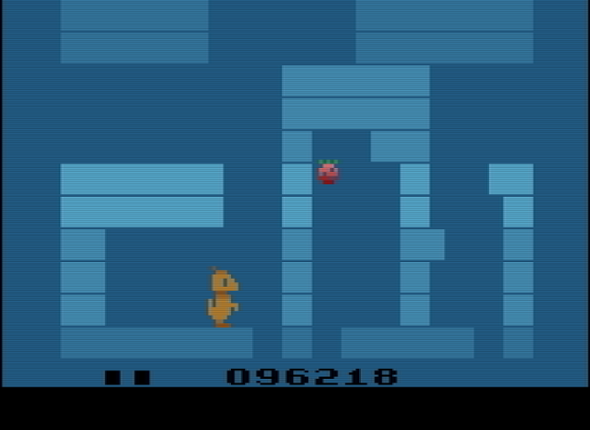 Kelly Kangaroo Image