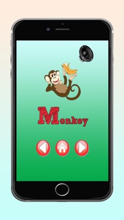 Kindergarten - ABC Alphabet Learning The Best Kids English For Preschool Free Image