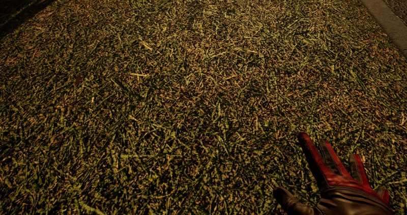 Touch Grass Together screenshot