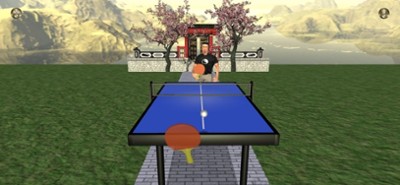 Zen Table Tennis Image