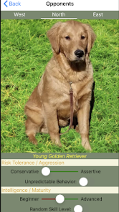 K9 Shanghai Rummy screenshot