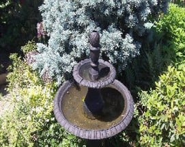 Zen Spring Garden Image