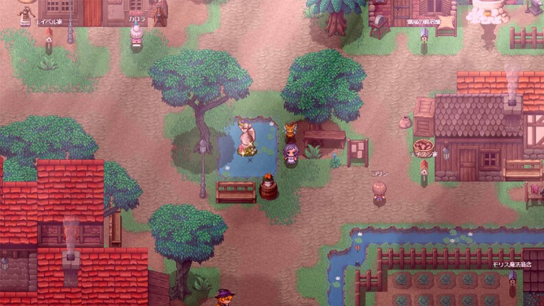 Pirate & Darkmage screenshot