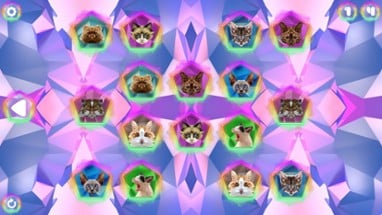 Poly Memory: Cats Image