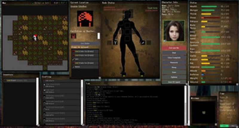 Despair Survival Image